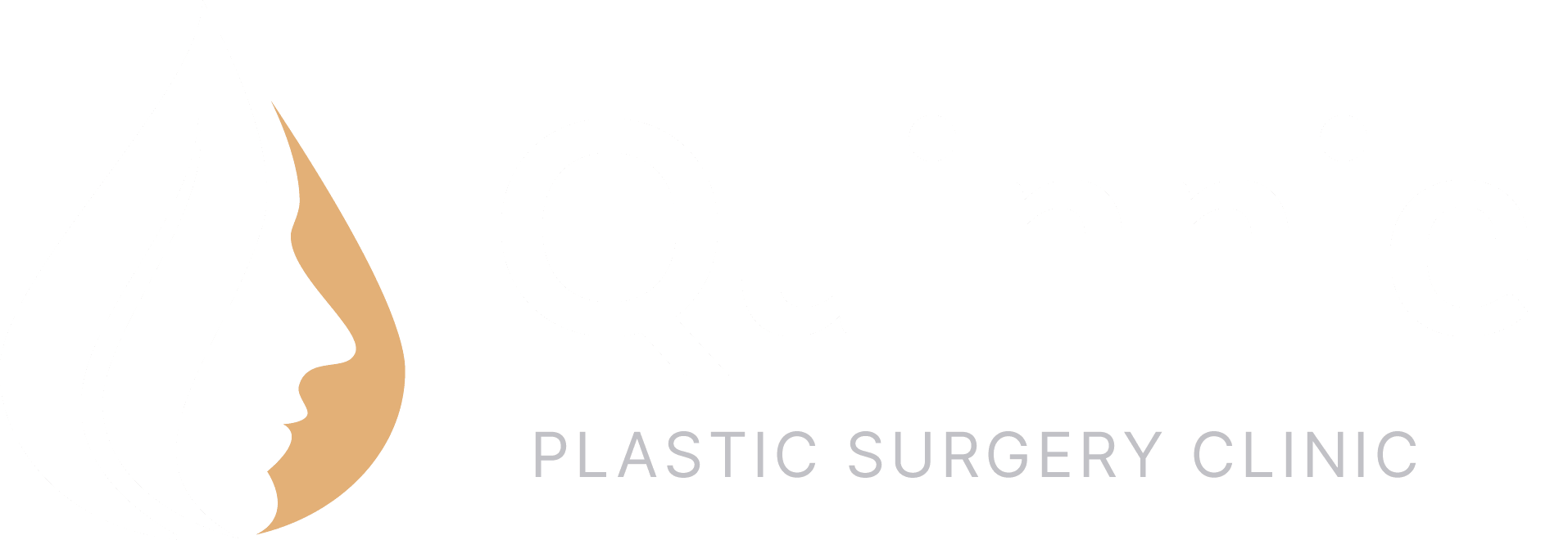 logo footer